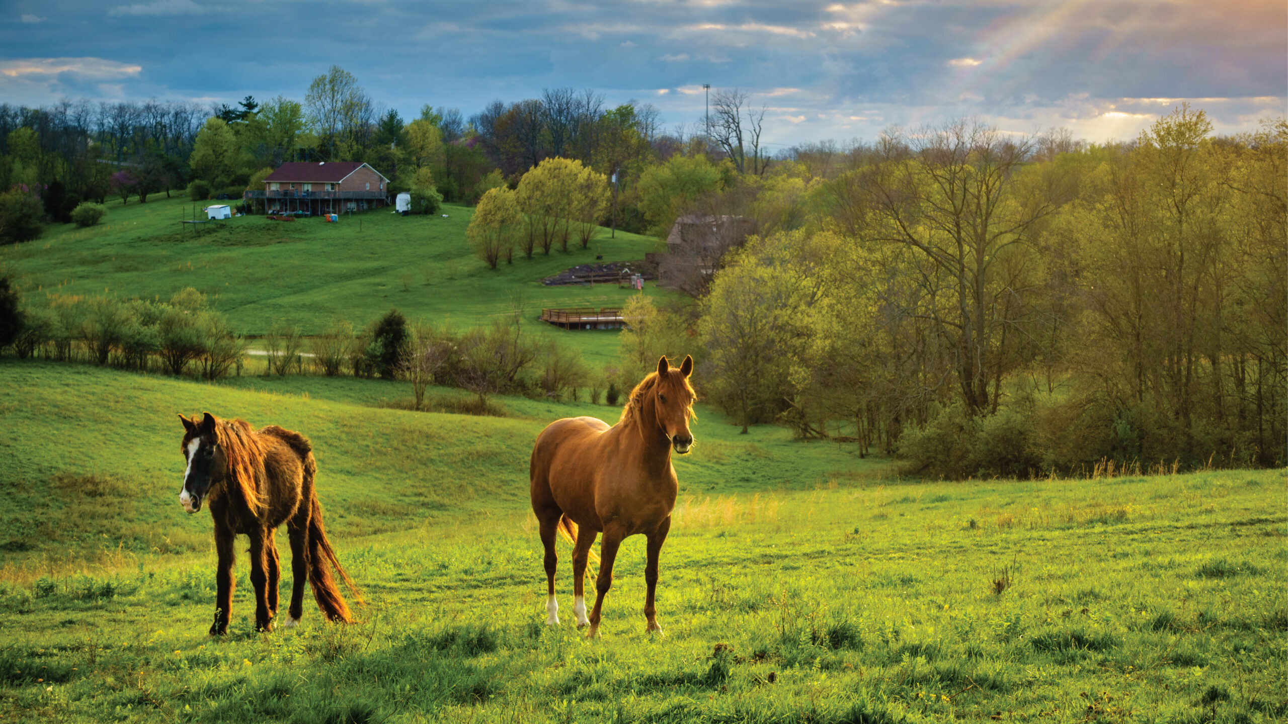 Homesteaders
